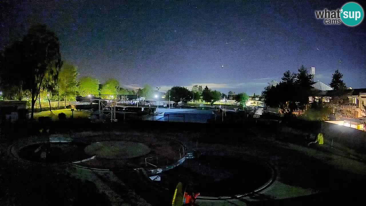 Celje – piscina al aire libre