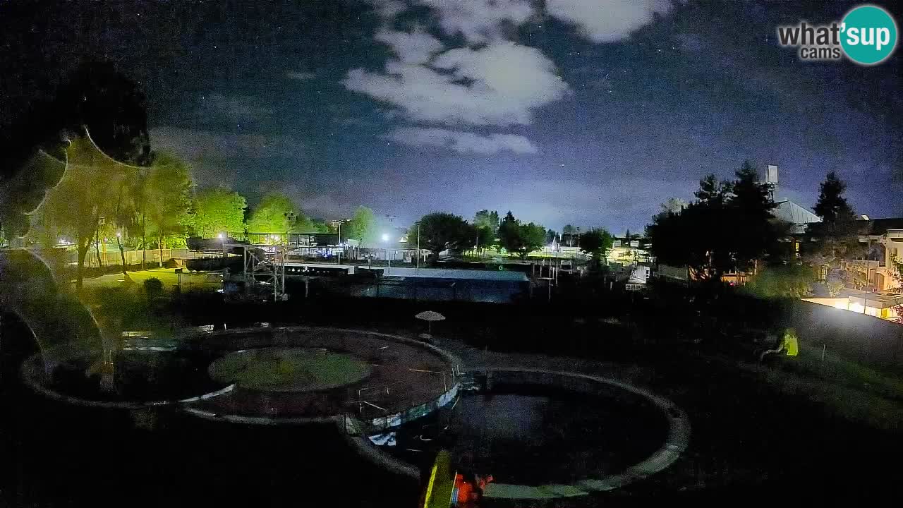 Celje – piscina al aire libre