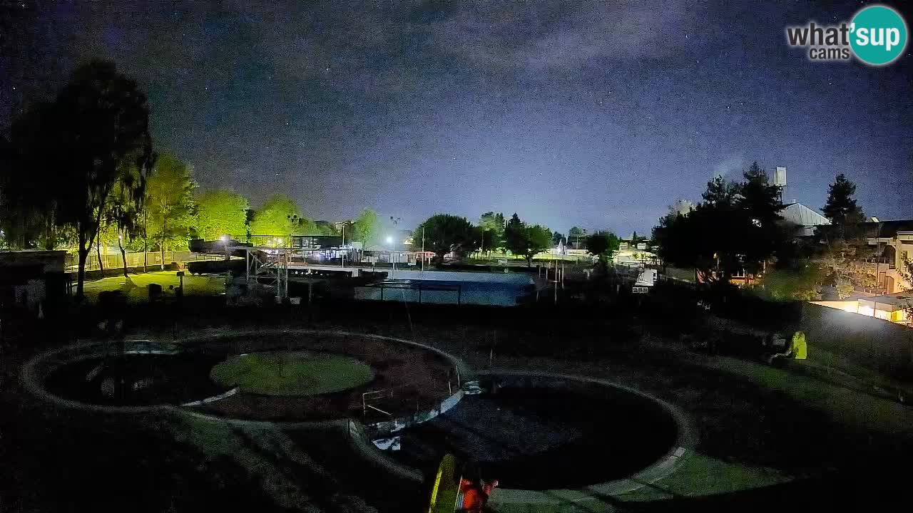 Celje – Piscina estiva