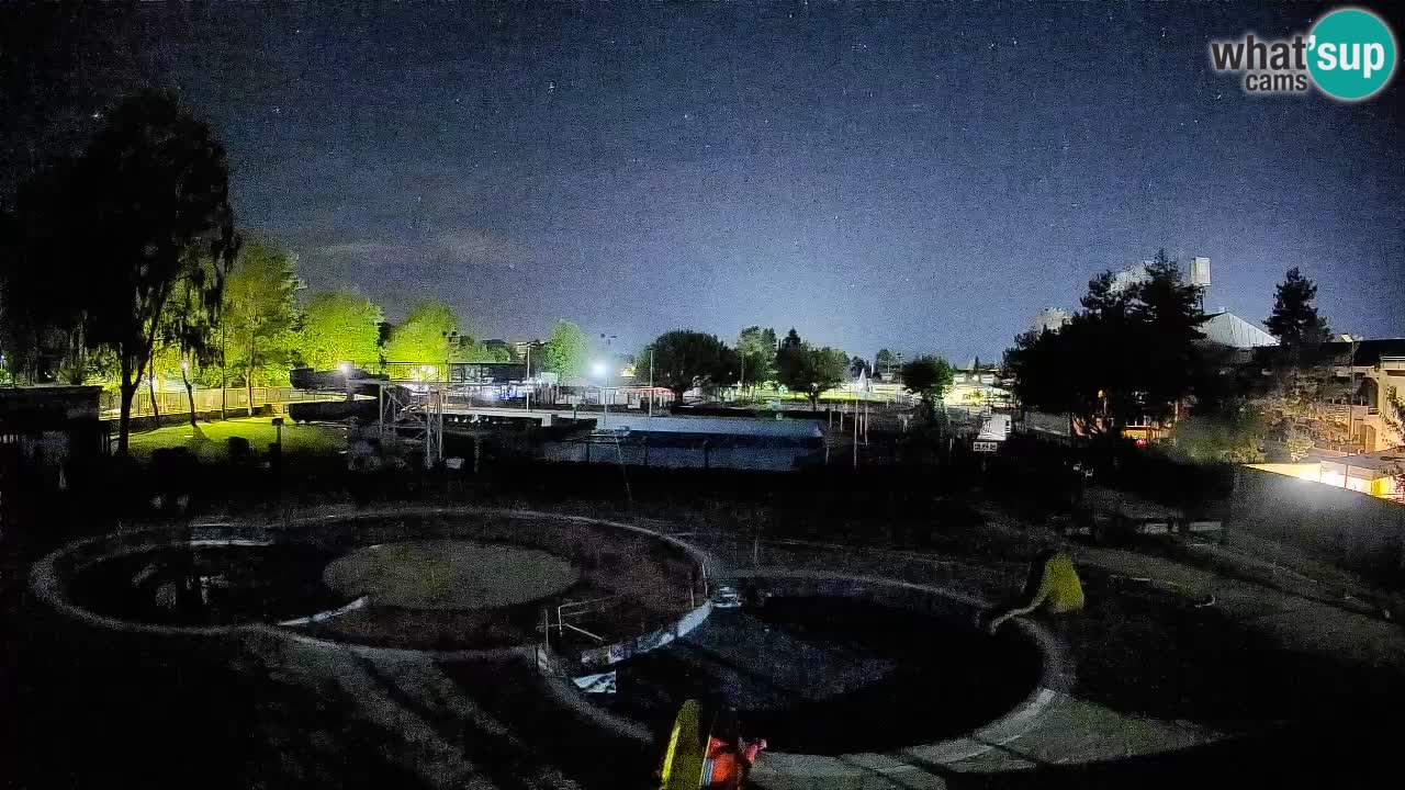 Celje – piscina al aire libre