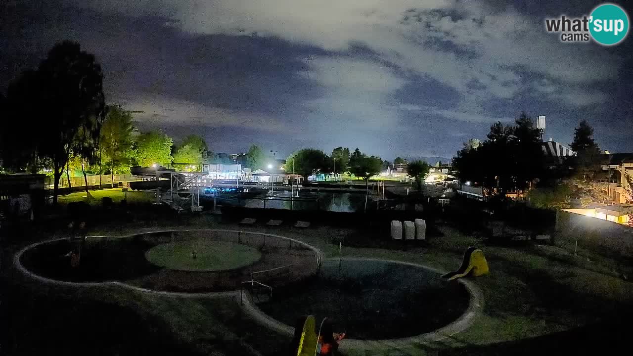 Celje summer open-air swimming pool