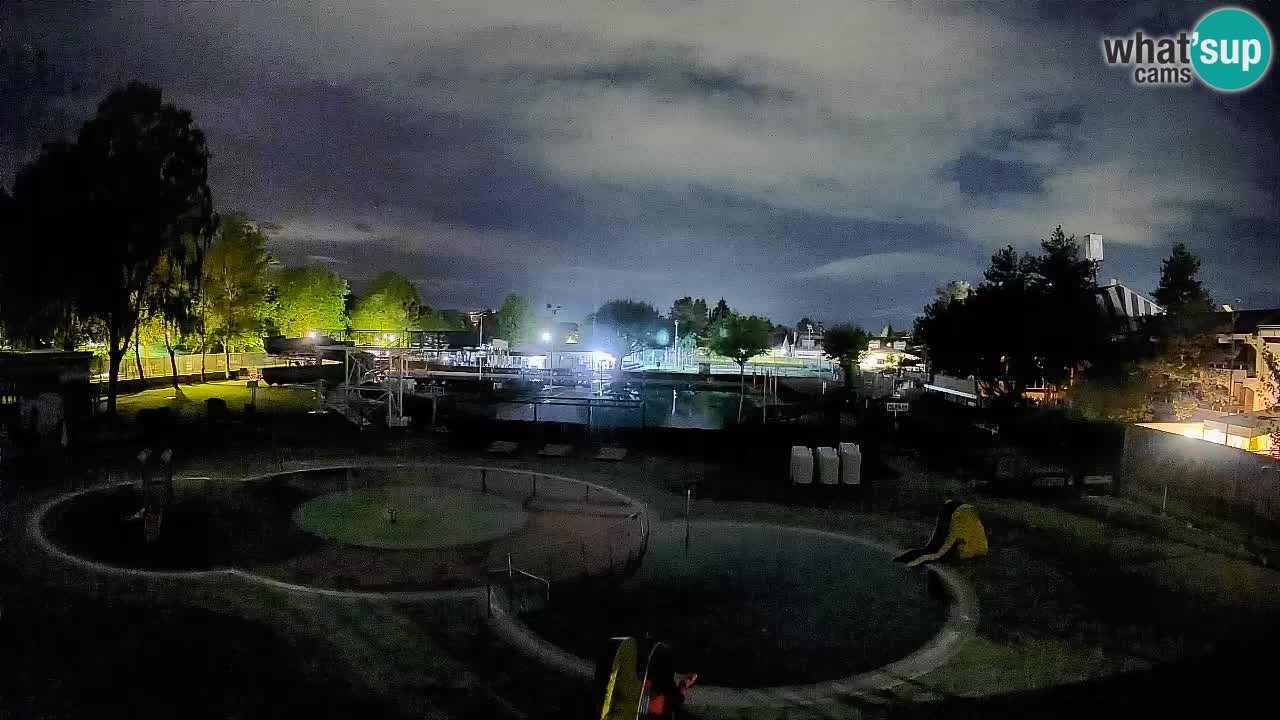 Celje summer open-air swimming pool