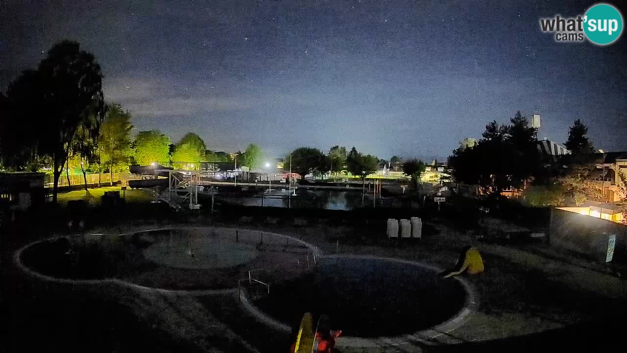 Celje – piscina al aire libre