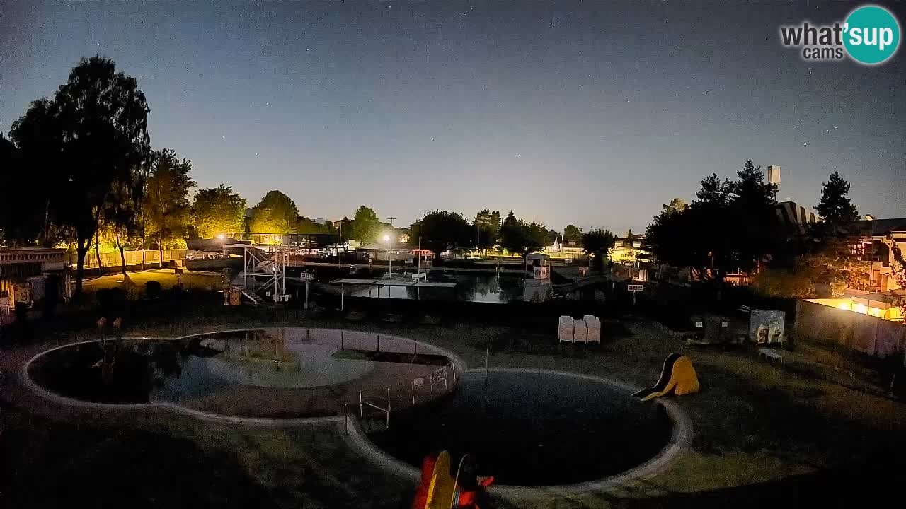 Celje summer open-air swimming pool