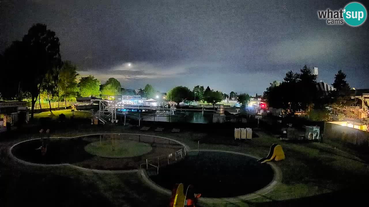 Celje – Piscina estiva