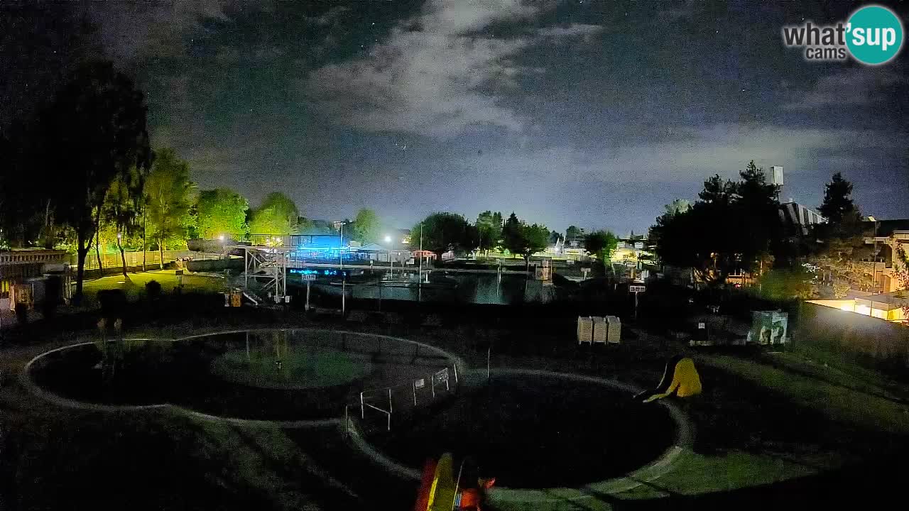 Celje – Piscina estiva