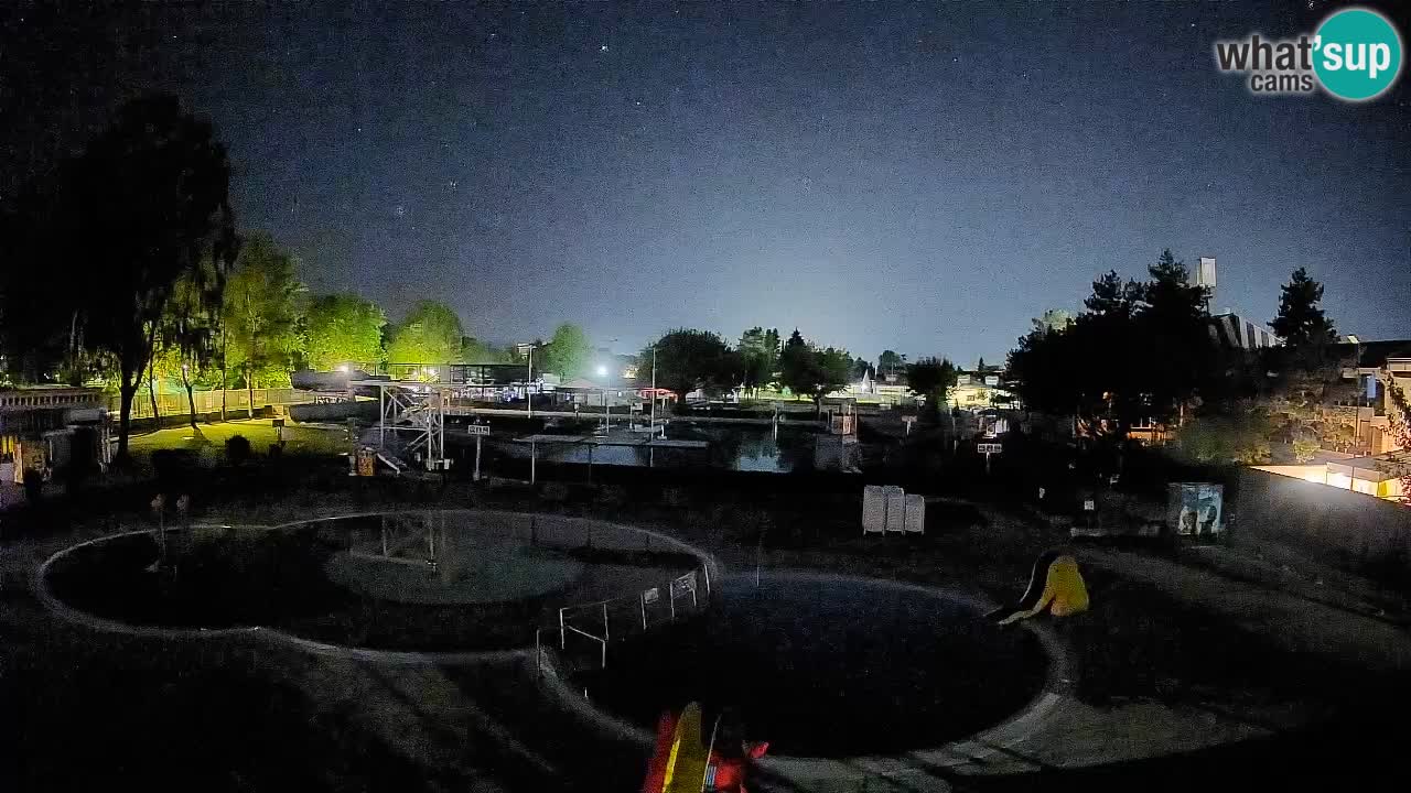 Celje – piscina al aire libre