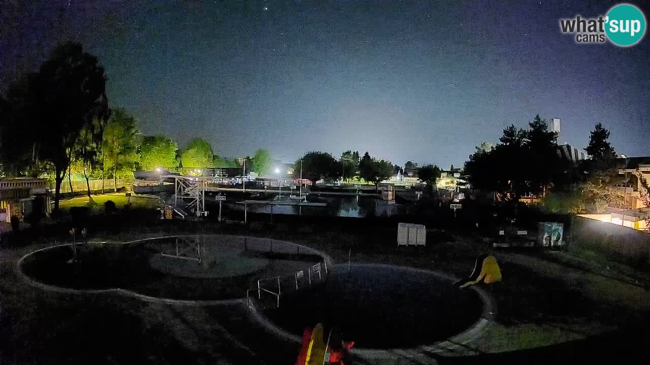 Celje – piscina al aire libre