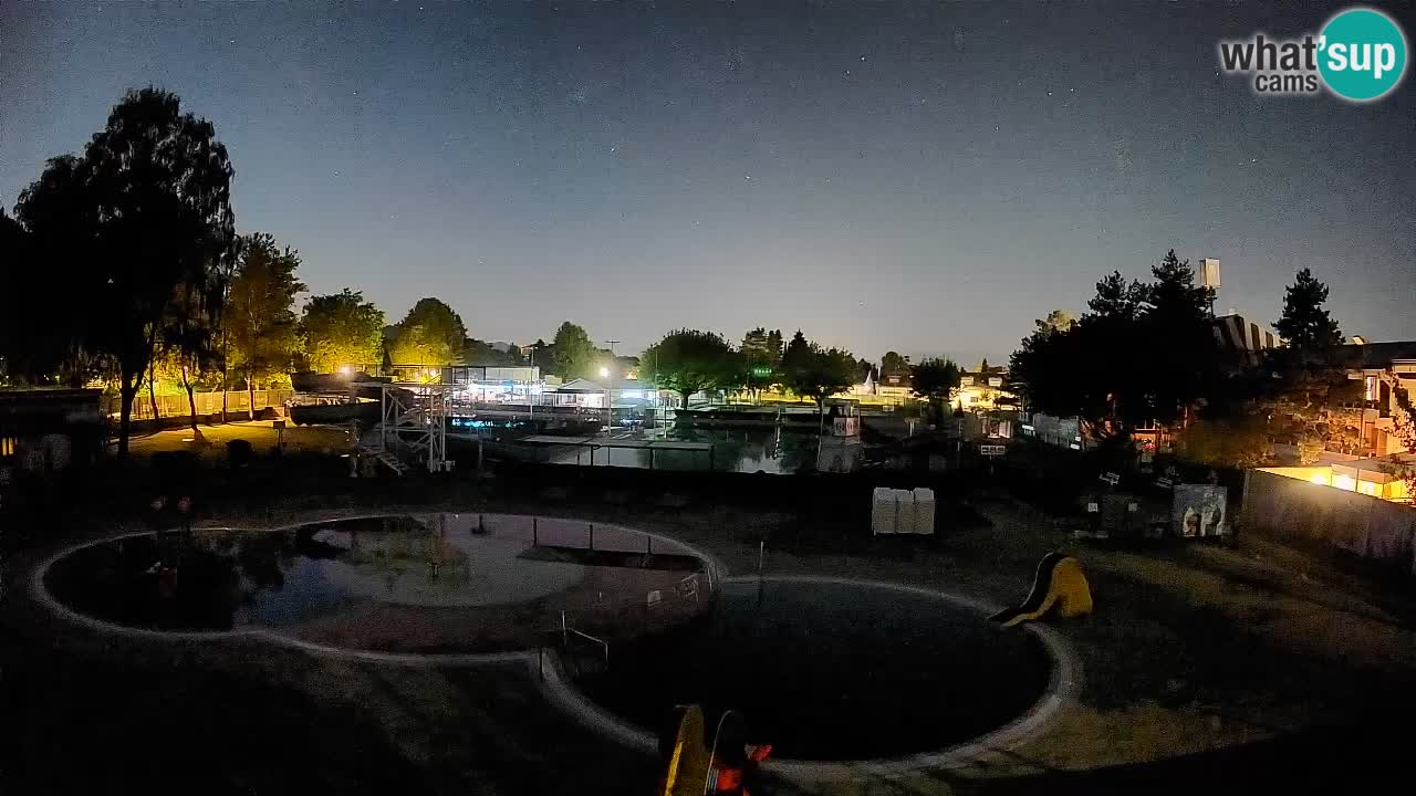 Celje – Piscine d’été