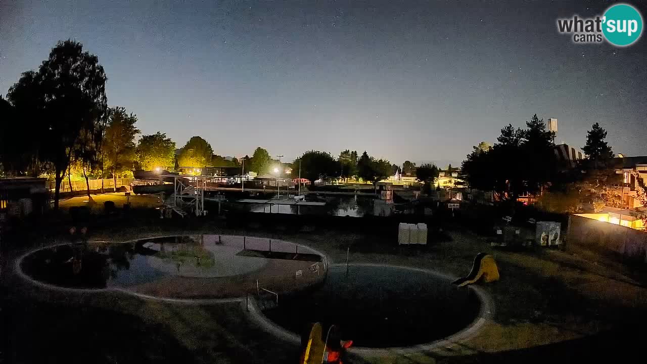 Celje – Sommerpool
