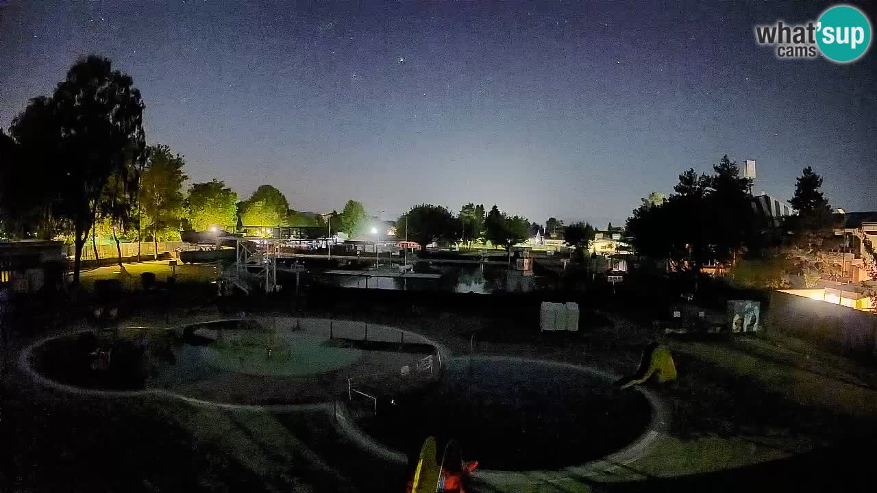 Celje – Piscine d’été