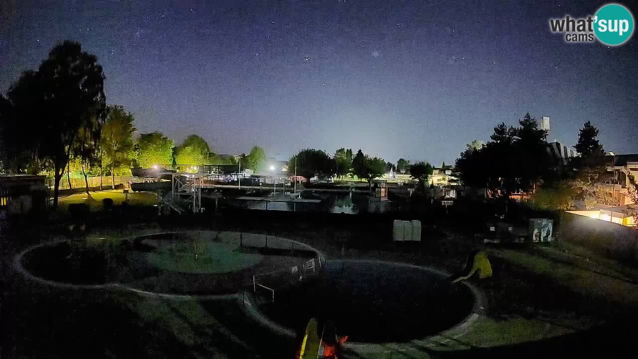 Celje – piscina al aire libre