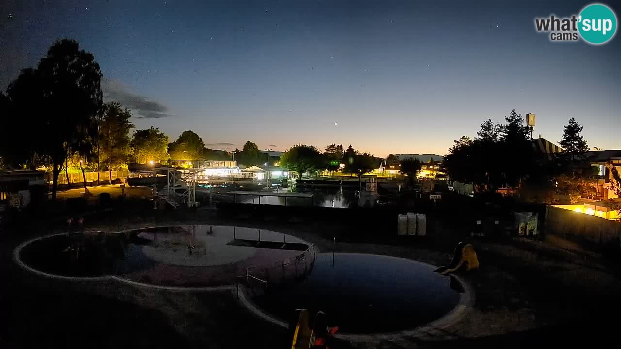 Celje summer open-air swimming pool