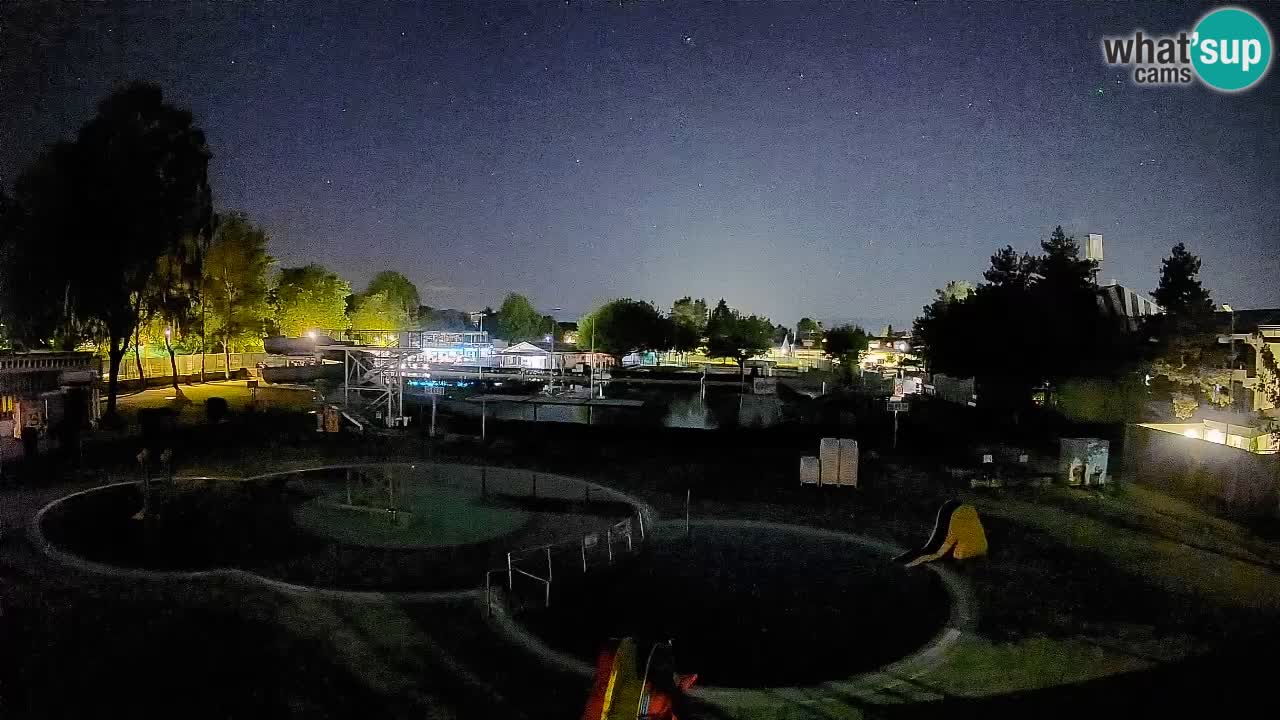 Celje – Piscina estiva