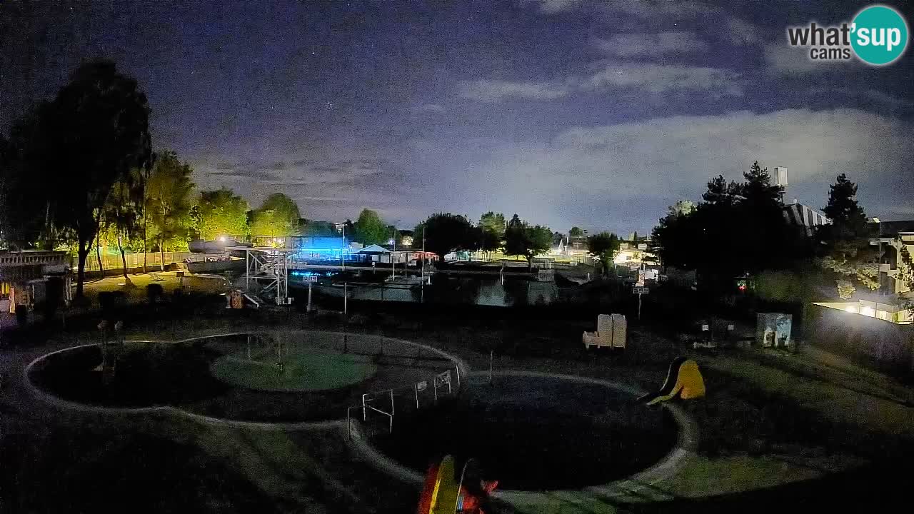 Celje summer open-air swimming pool