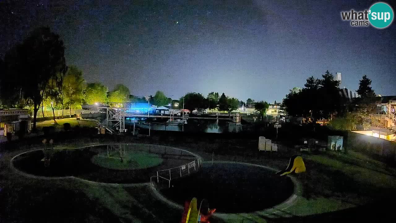 Celje summer open-air swimming pool