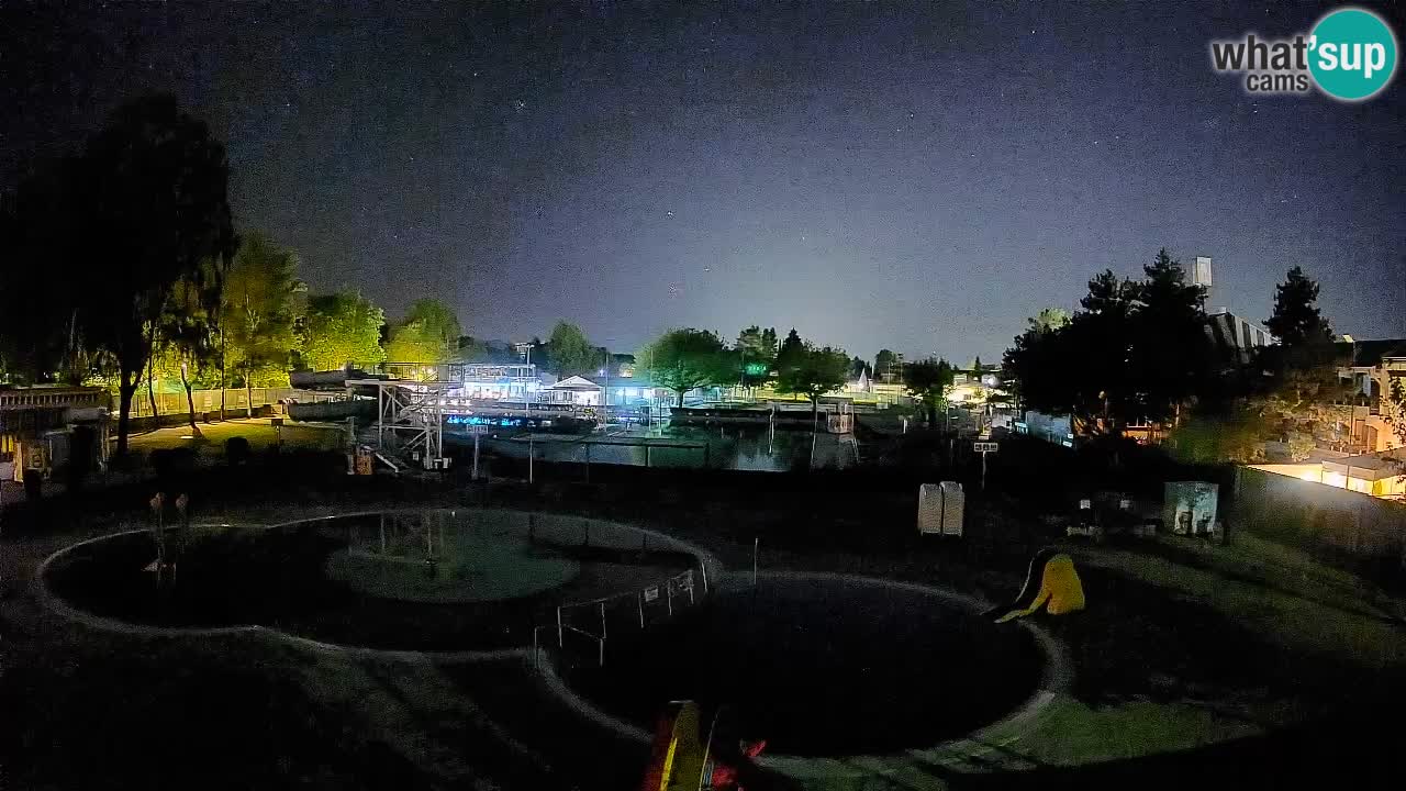 Celje – Piscina estiva