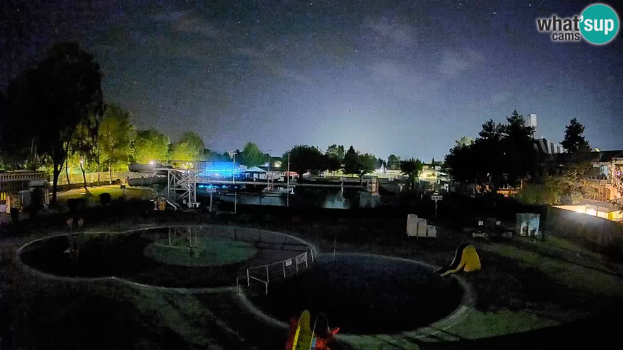 Celje summer open-air swimming pool