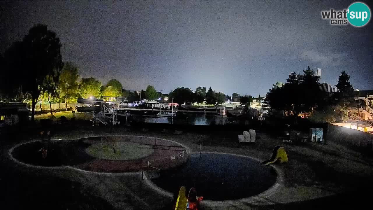 Celje summer open-air swimming pool