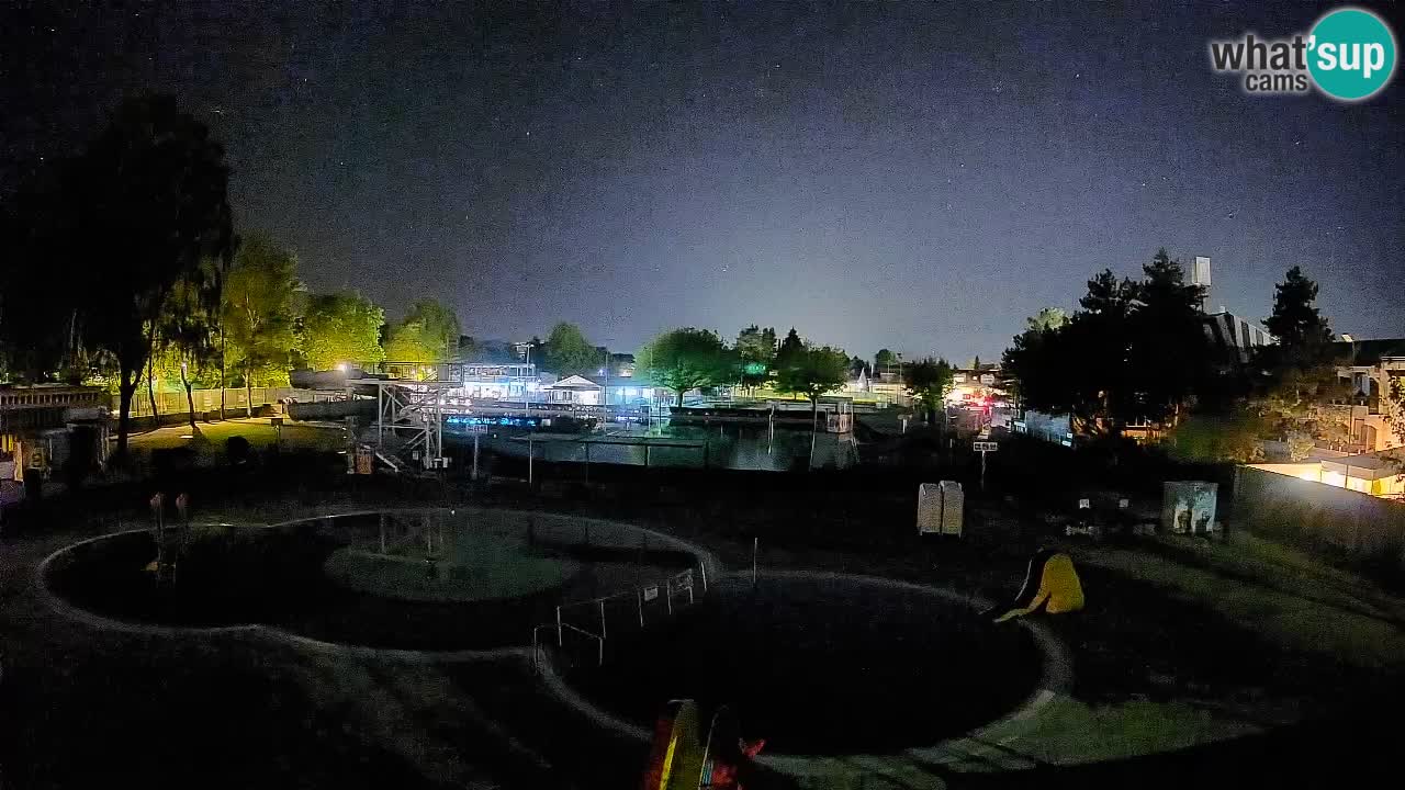 Celje summer open-air swimming pool