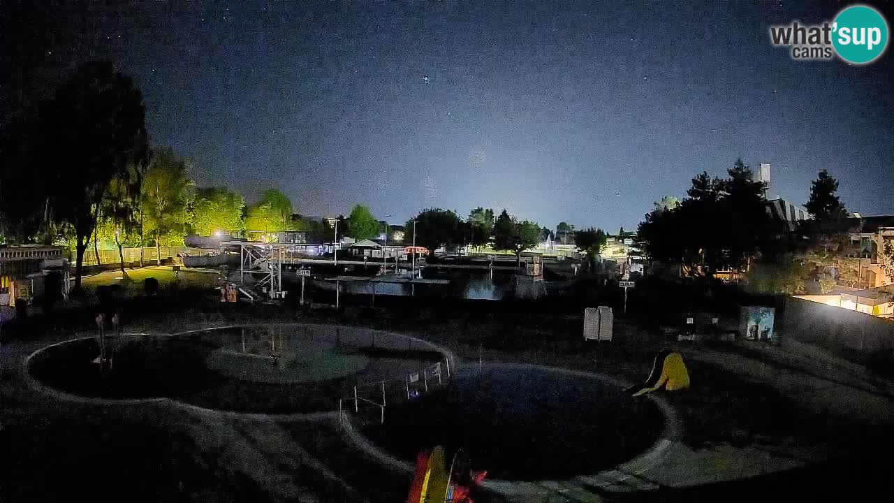 Celje summer open-air swimming pool