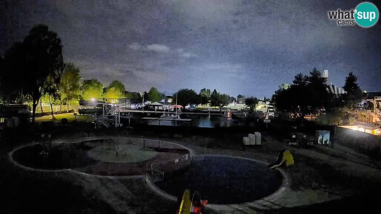 Celje – Piscine d’été