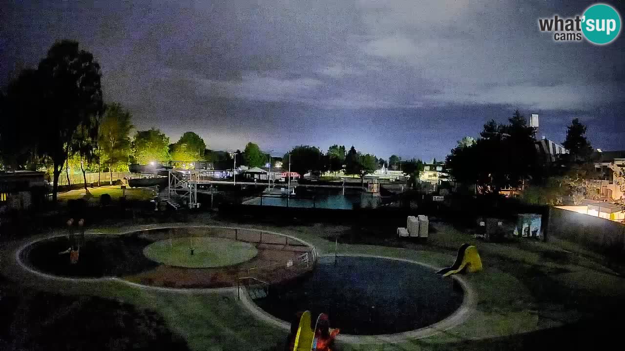 Celje – Piscine d’été