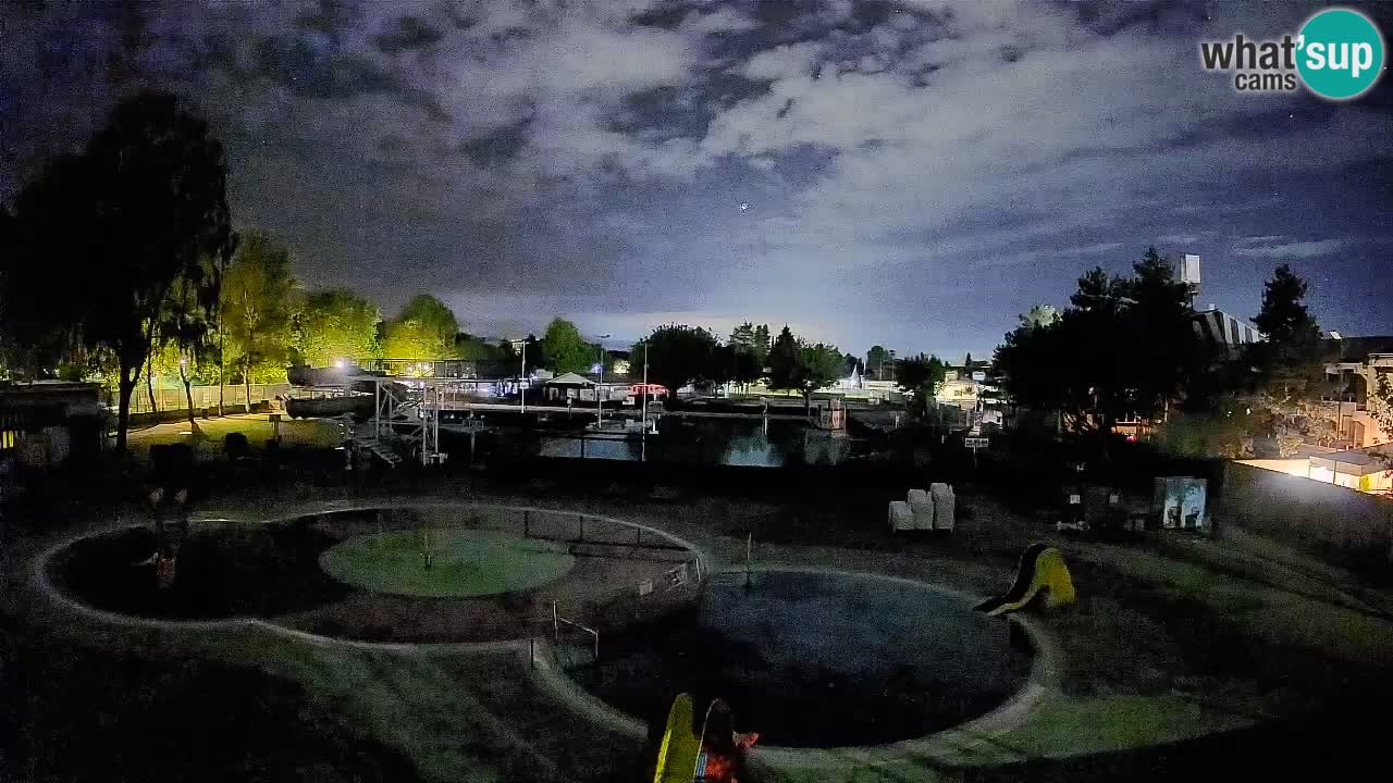 Celje – Piscine d’été