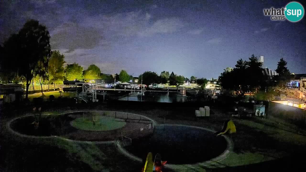 Celje – Piscine d’été