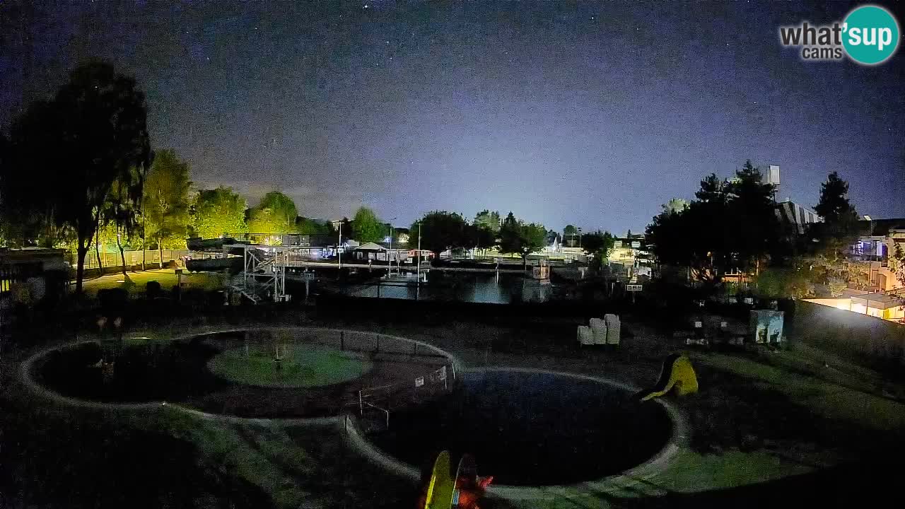 Celje – piscina al aire libre