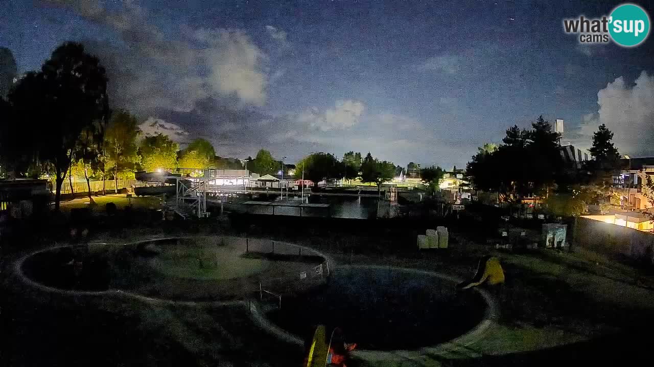 Celje – piscina al aire libre