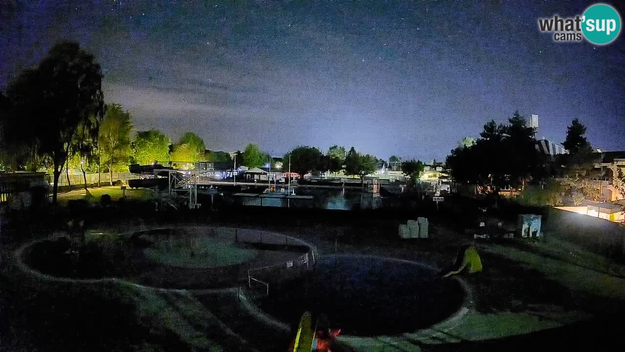 Celje – piscina al aire libre