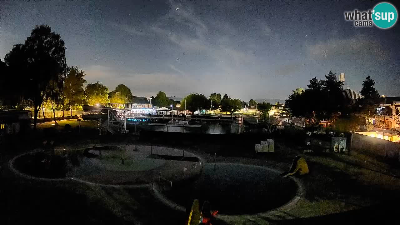 Celje – Piscina estiva