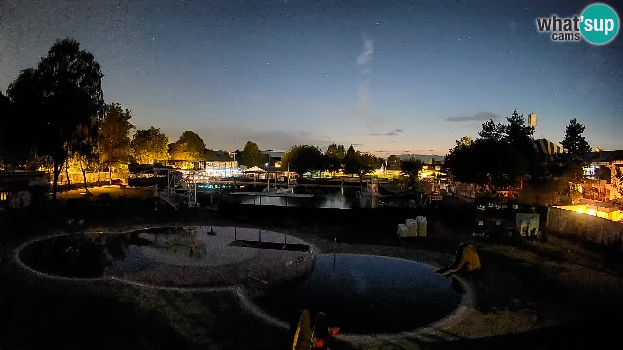 Celje summer open-air swimming pool
