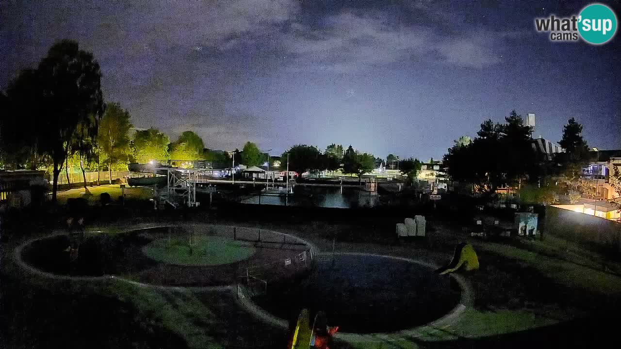Celje summer open-air swimming pool