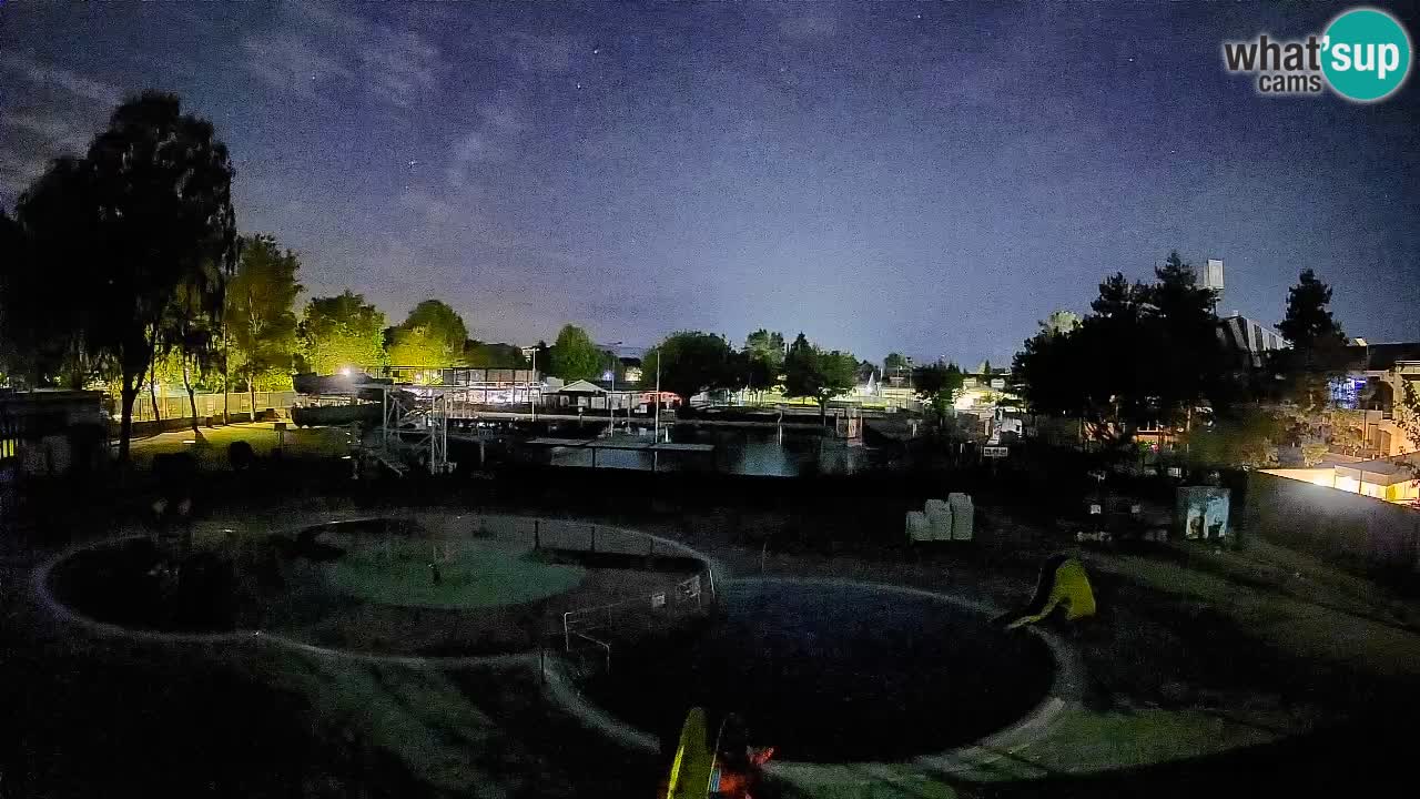 Celje – Piscina estiva