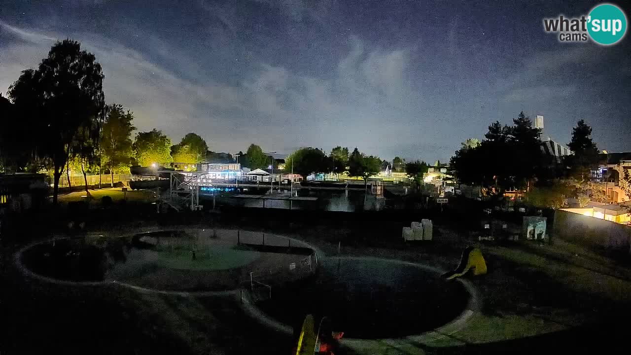 Celje – Piscina estiva