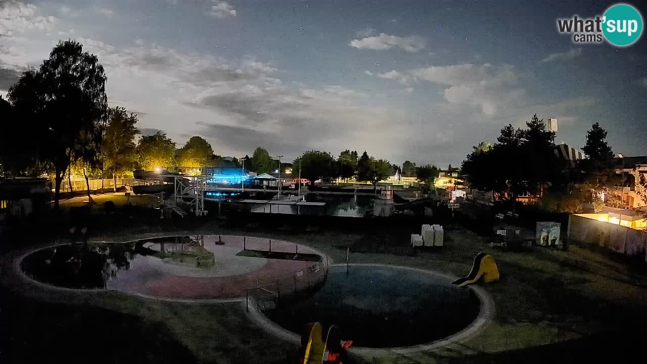 Celje – piscina al aire libre