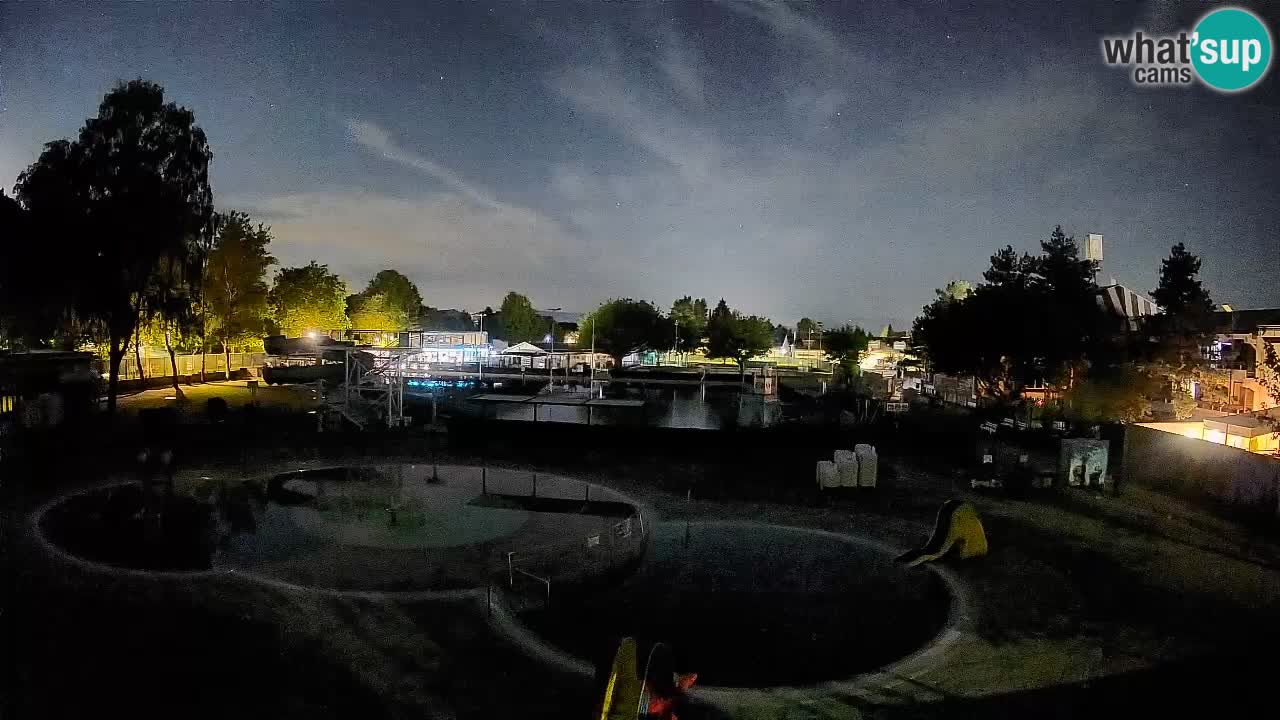 Celje – Piscina estiva