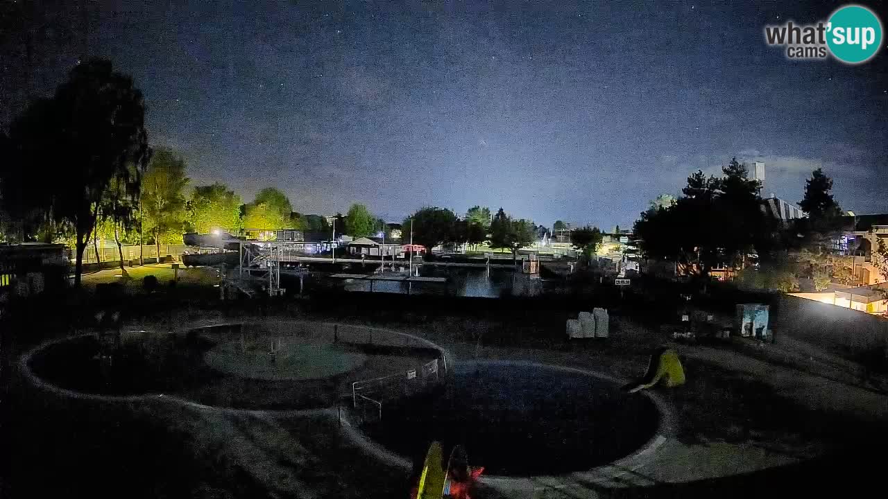 Celje summer open-air swimming pool