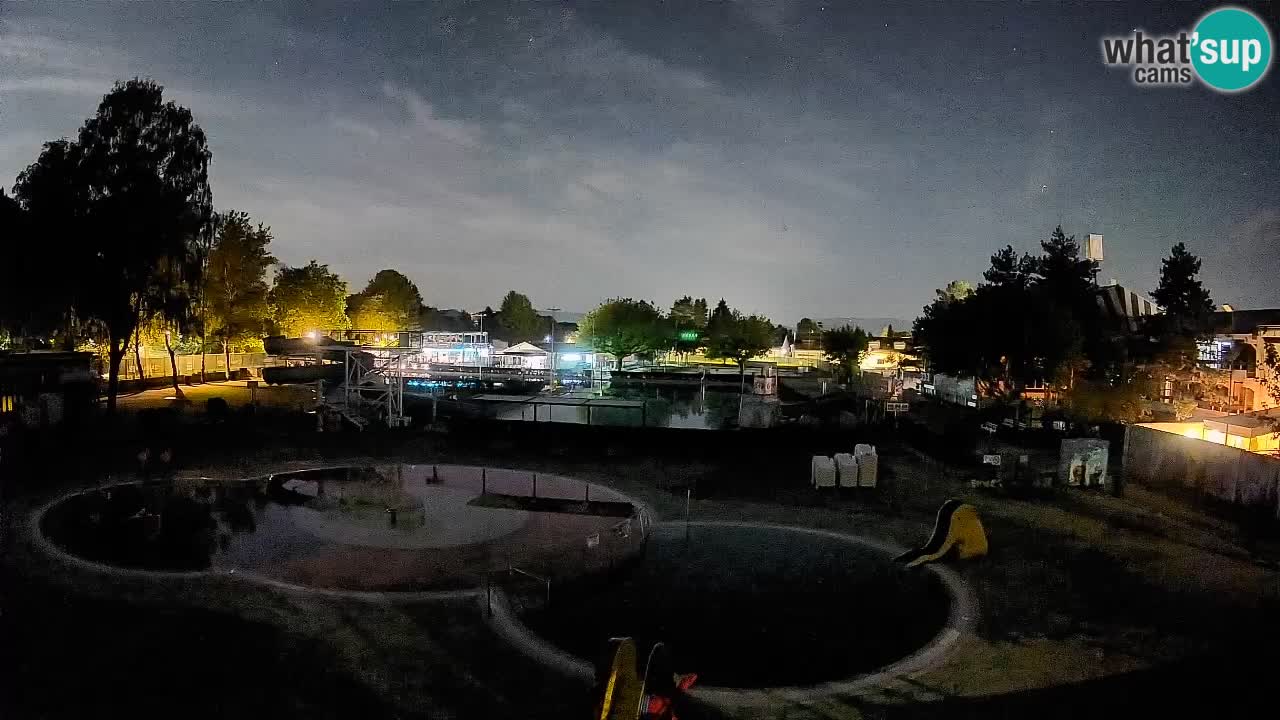 Celje – Piscine d’été