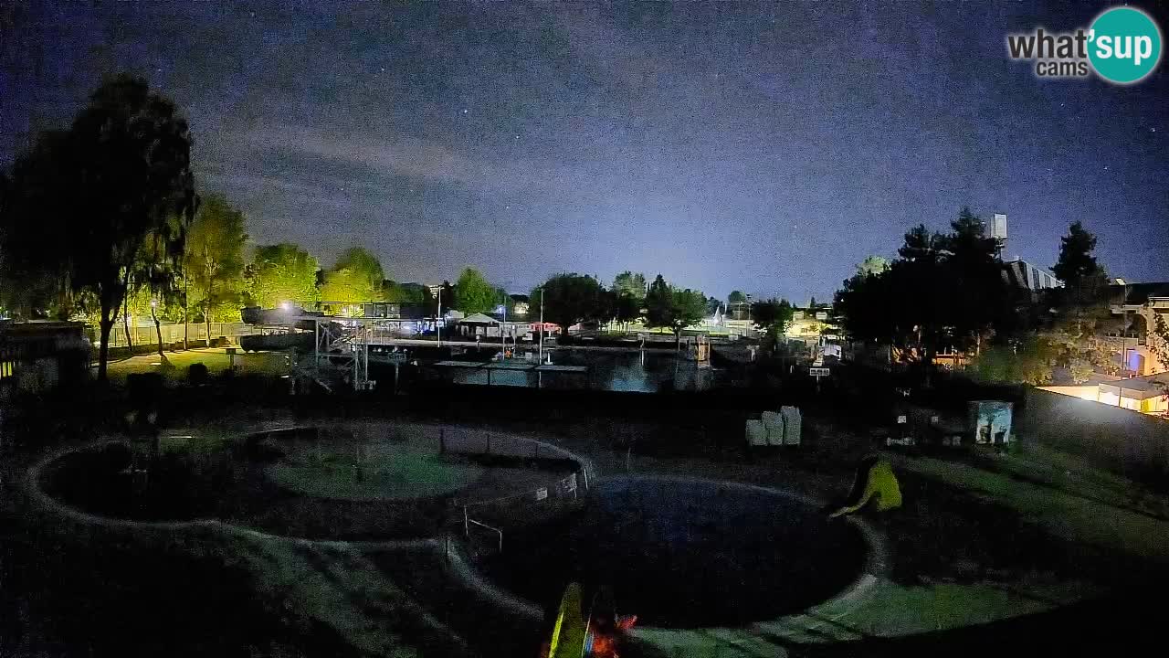 Celje – Piscina estiva