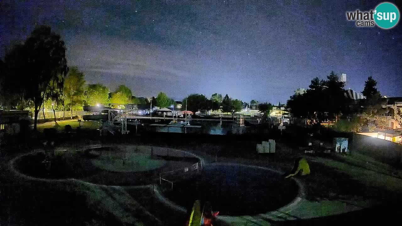 Celje – Piscine d’été