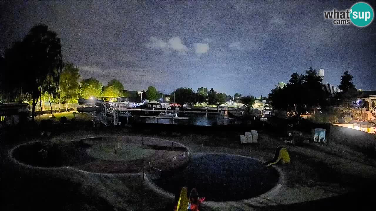 Celje summer open-air swimming pool