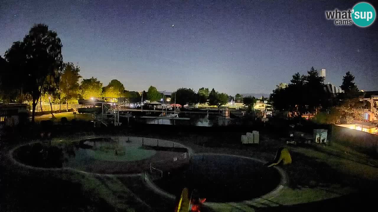 Celje – Piscina estiva