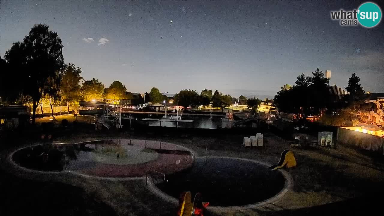 Celje summer open-air swimming pool
