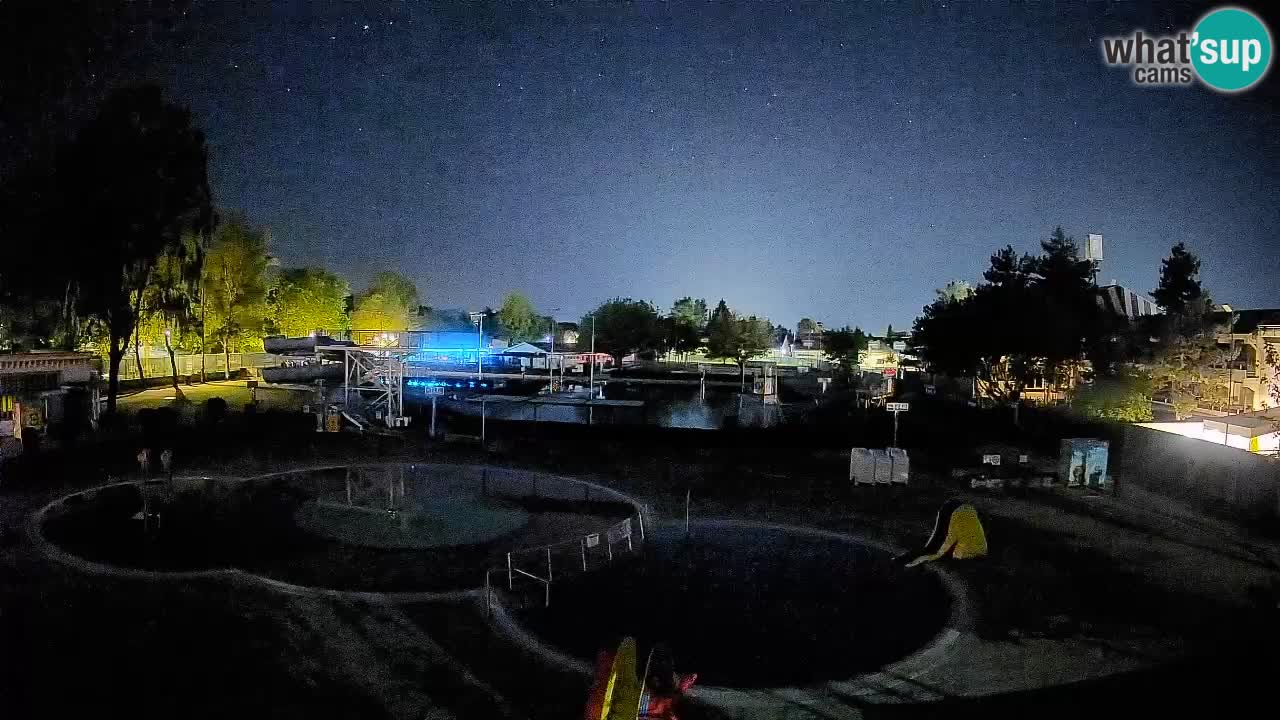 Celje summer open-air swimming pool
