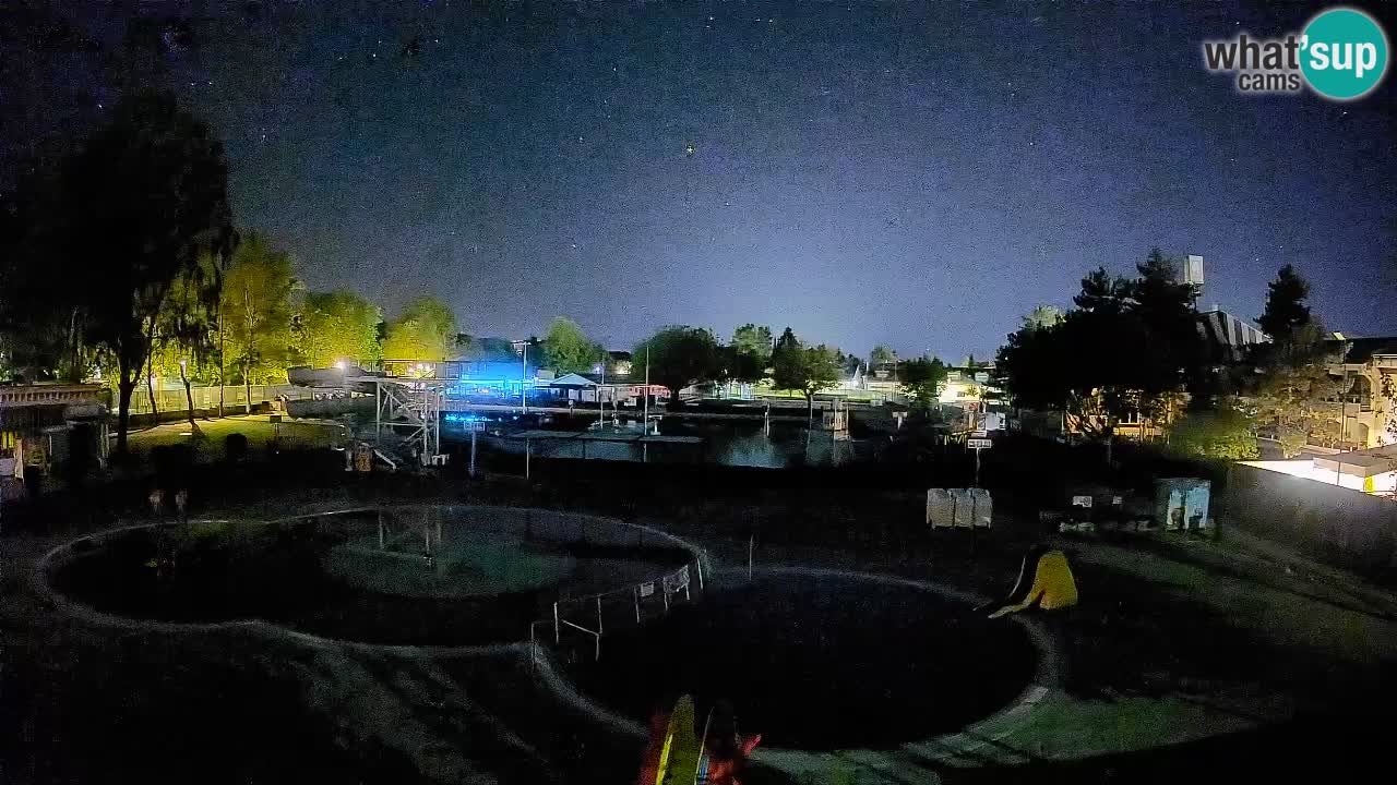 Celje – piscina al aire libre