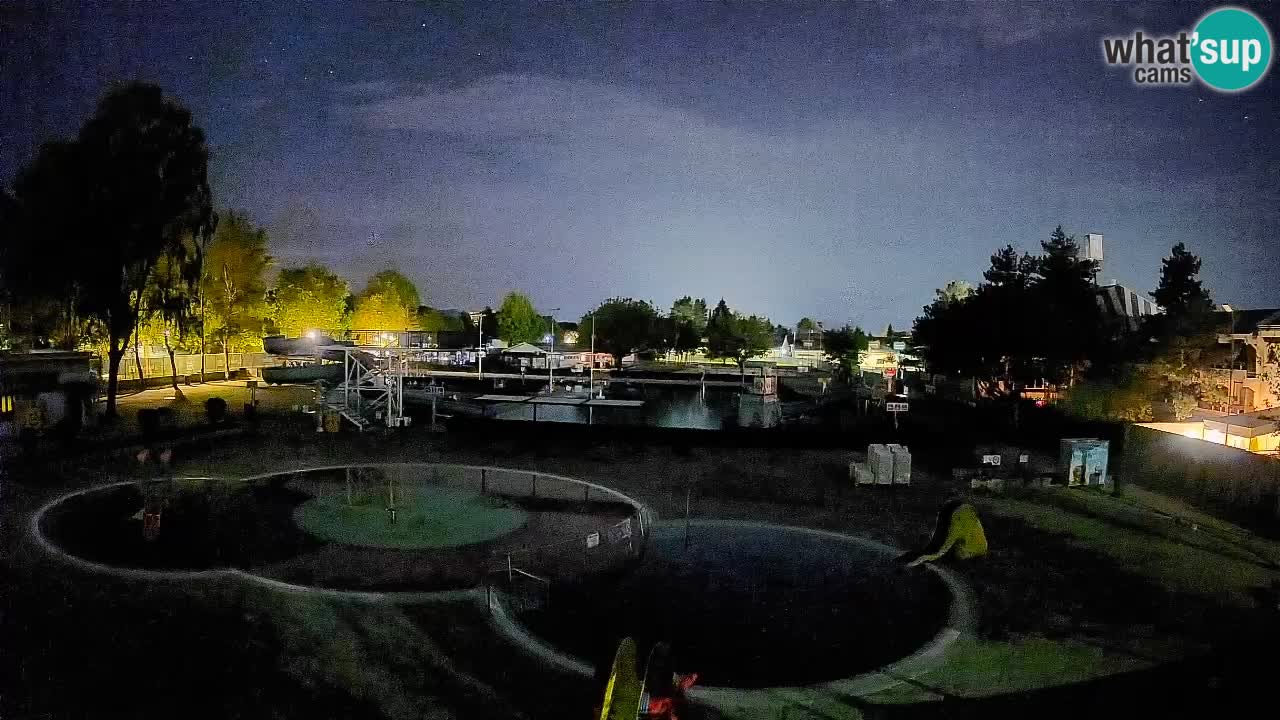 Celje summer open-air swimming pool