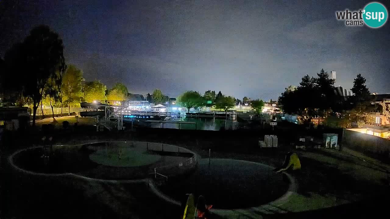 Celje – Piscine d’été